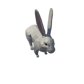 Rabbit PA White